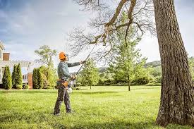 Best Fruit Tree Pruning  in Ridge Manor, FL